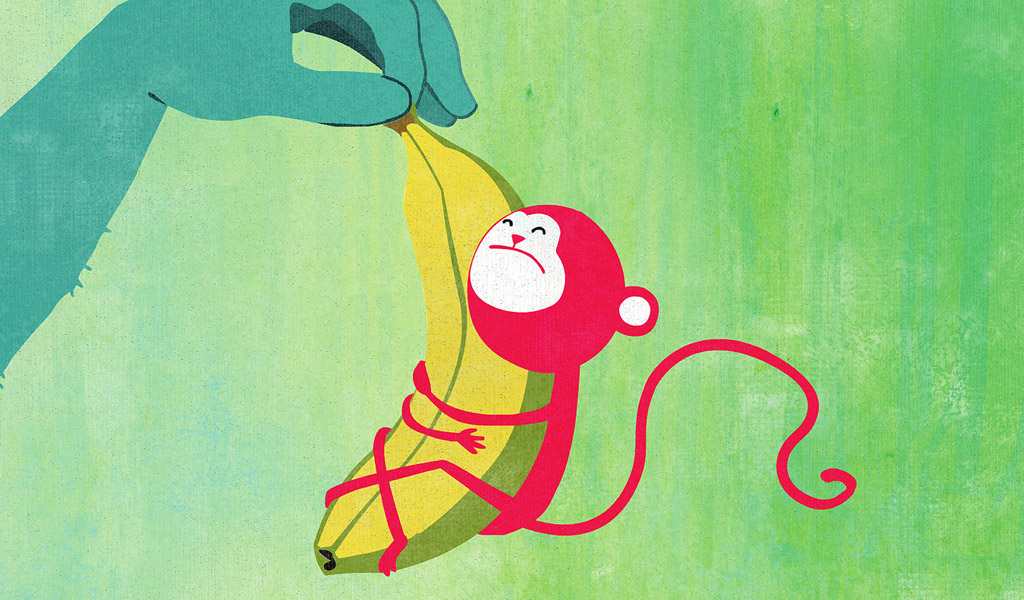 La Loi du plus fort - Plein la bobine